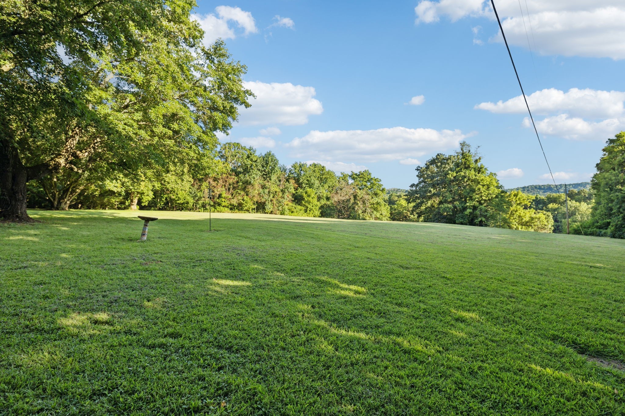 6633 Pinkston Road College Grove, TN 37046 - Photo 64 of 78