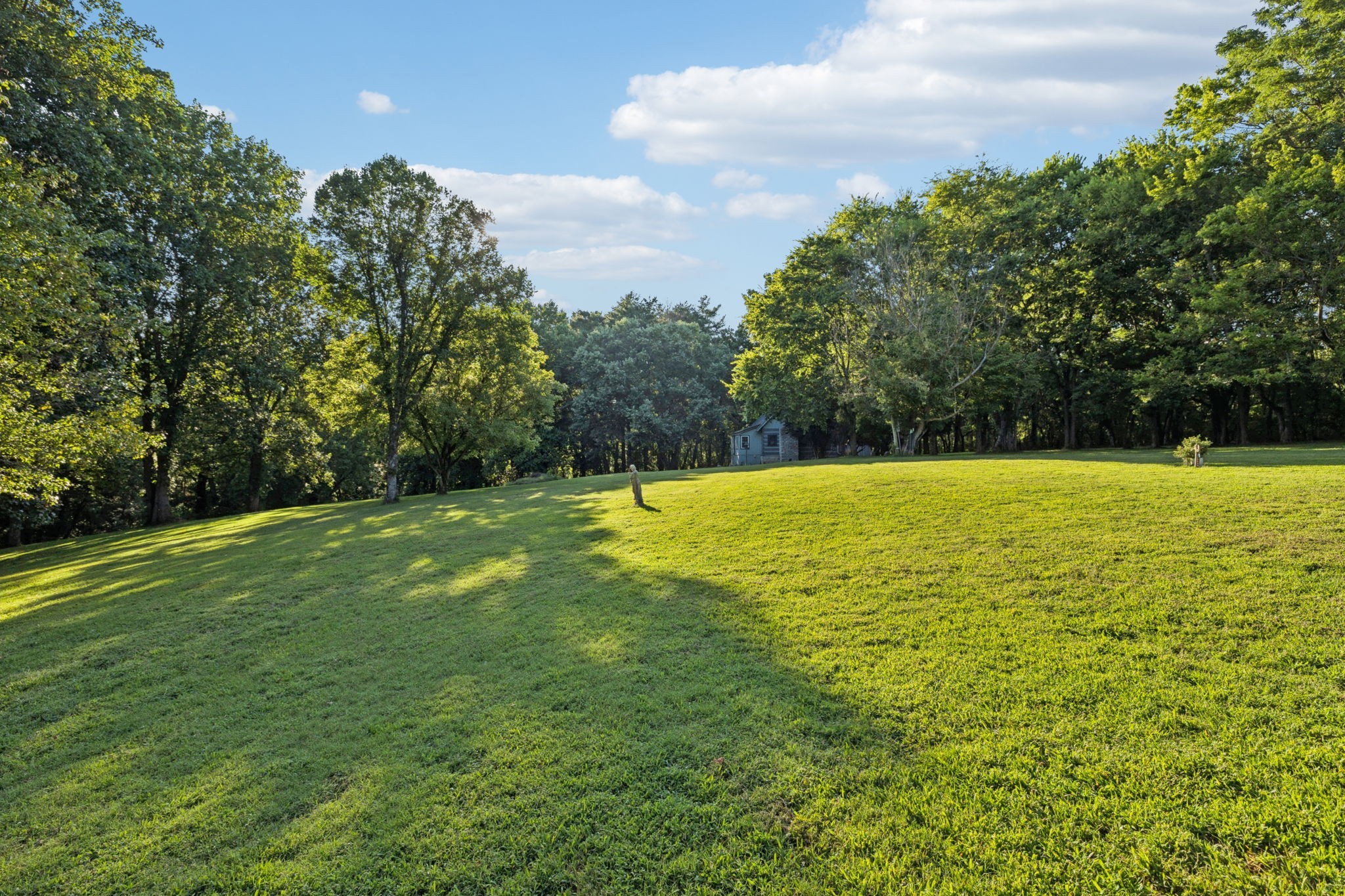 6633 Pinkston Road College Grove, TN 37046 - Photo 67 of 78 a view of a swimming pool with a yard