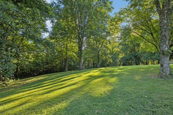 $3,300,000 | 6633 Pinkston Road, College Grove, TN 37046
