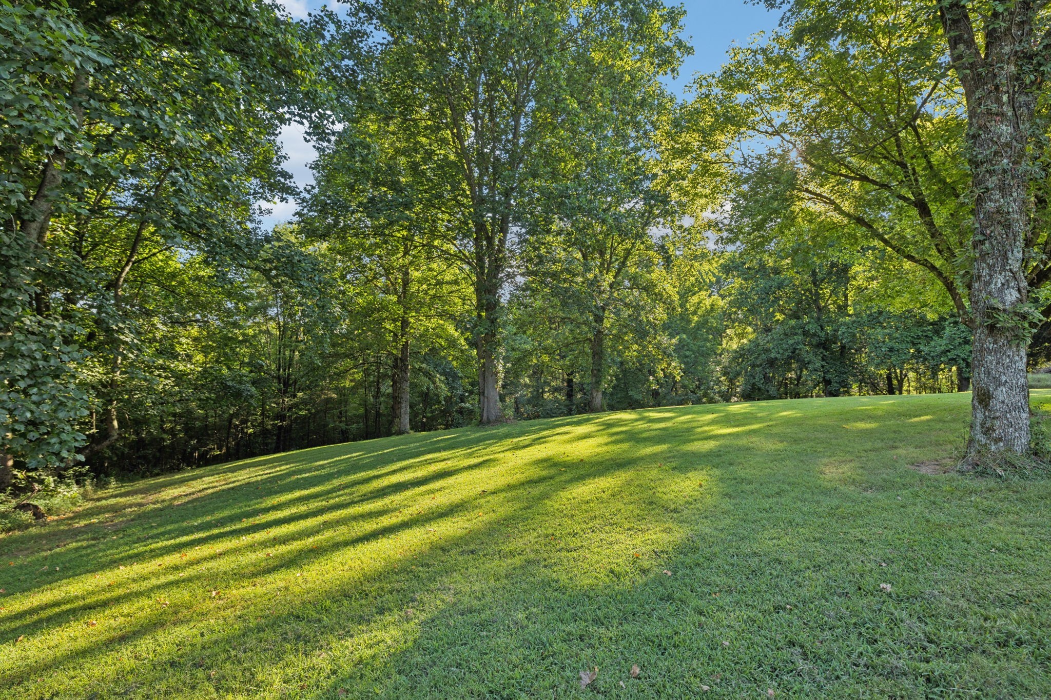 6633 Pinkston Road College Grove, TN 37046 - Photo 70 of 78 a view of a field with trees in the background