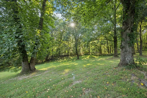 $3,300,000 | 6633 Pinkston Road, College Grove, TN 37046