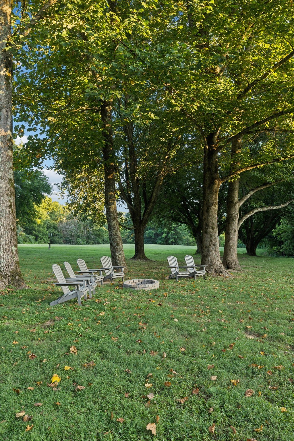 6633 Pinkston Road College Grove, TN 37046 - Photo 75 of 78 a view of a garden with a tree