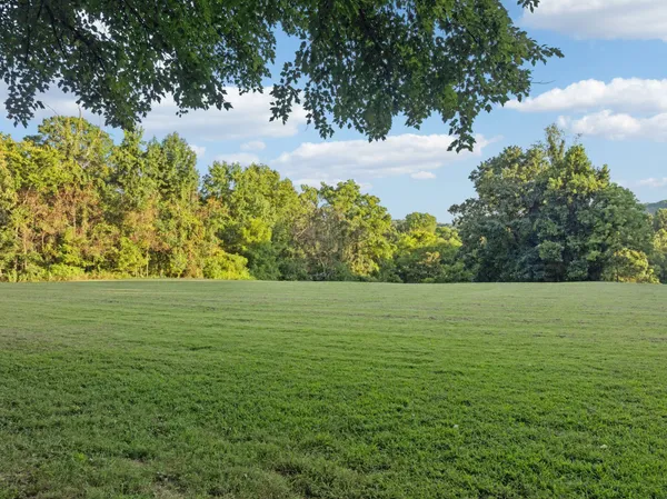 $3,300,000 | 6633 Pinkston Road, College Grove, TN 37046