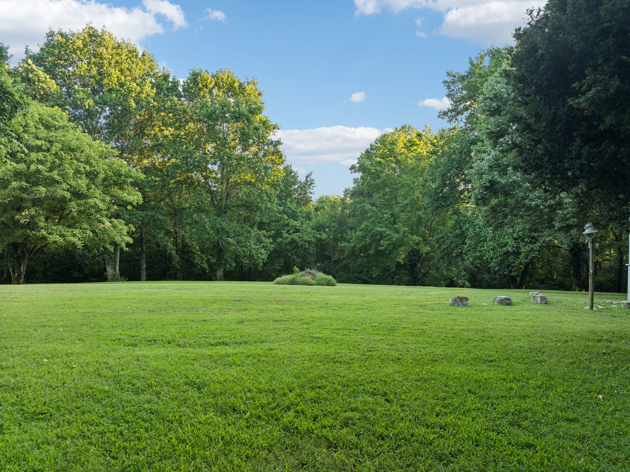 6633 Pinkston Road College Grove, TN 37046 - Photo 77 of 78 a view of a grassy field with trees in the background