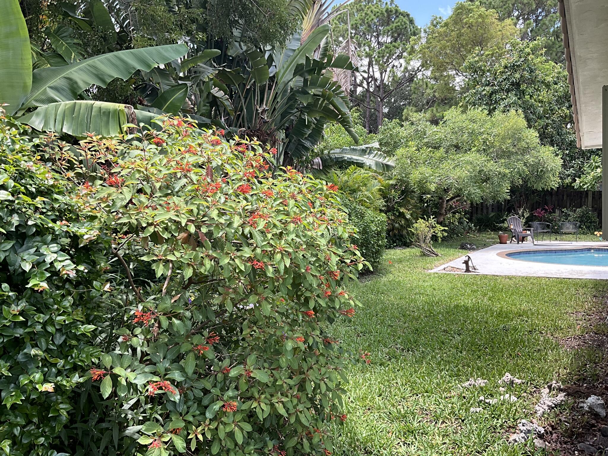 6114 Woodbury Road Boca Raton, FL 33433 - Photo 26 of 30 Backyard