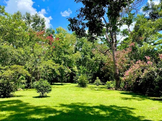 702 Winn Avenue Fairhope, AL 36532 - Photo 36 of 40