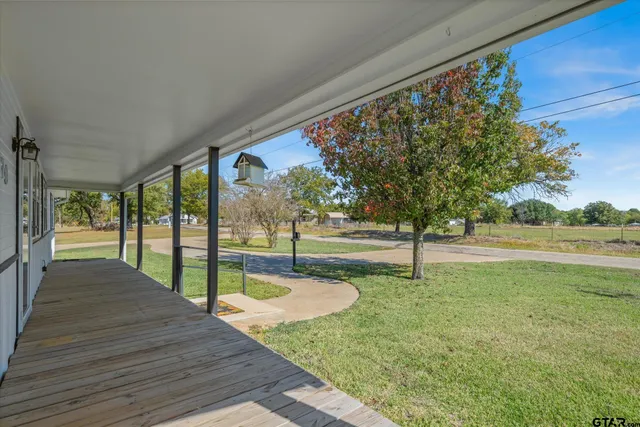 a park with large trees