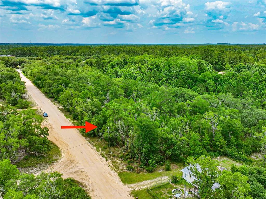 128 Carmichael Road Interlachen, FL 32148 - Photo 14 of 16