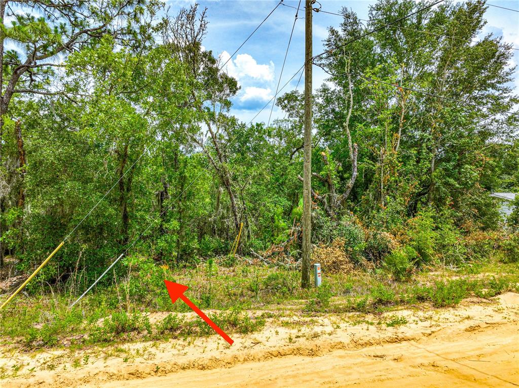 128 Carmichael Road Interlachen, FL 32148 - Photo 5 of 16