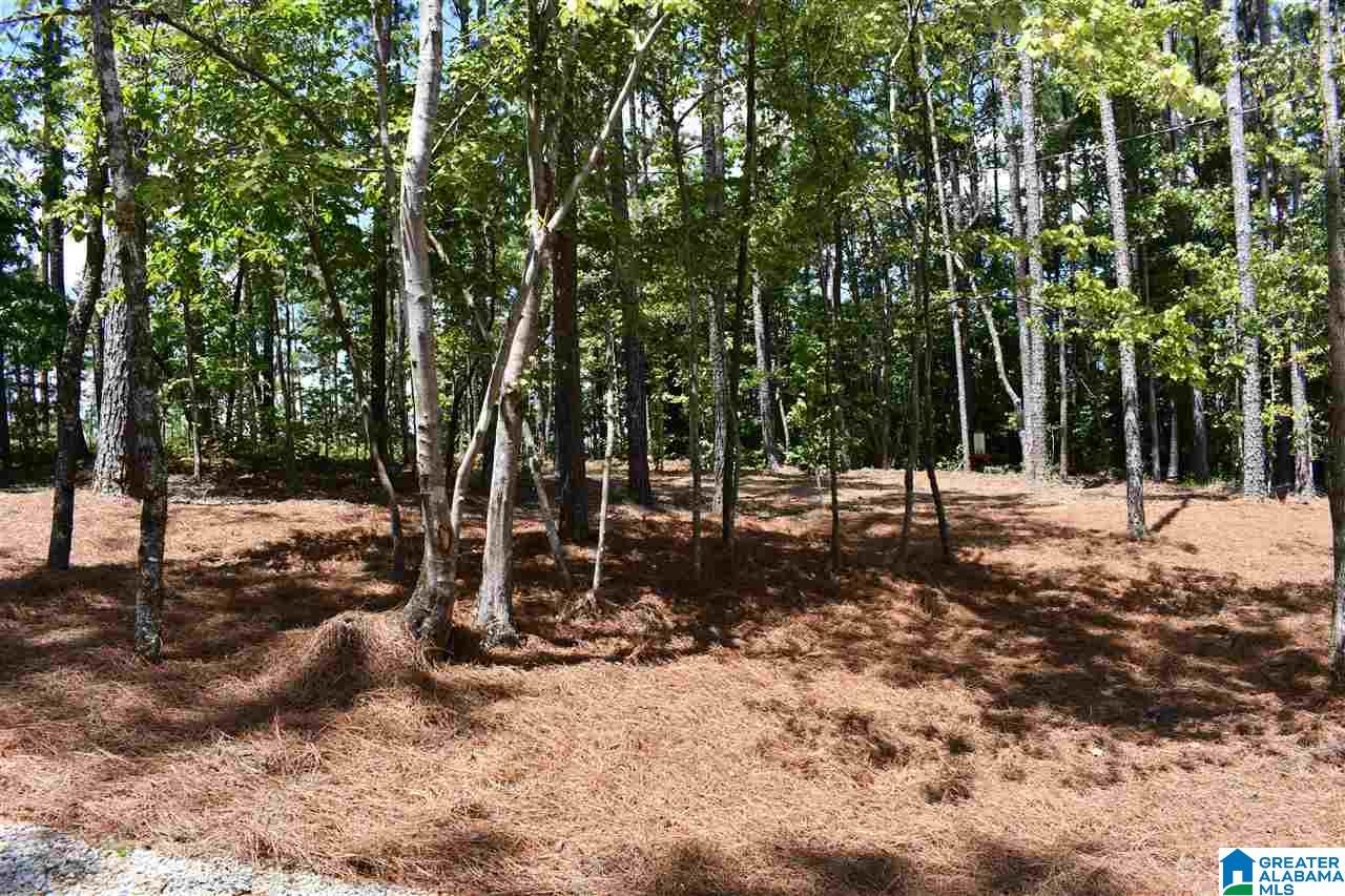 660 Crystal Cove Wedowee, AL 36278 - Photo 23 of 26