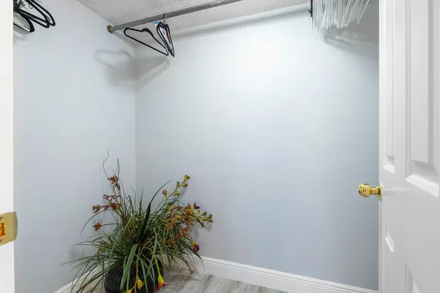 a view of small space with potted plant