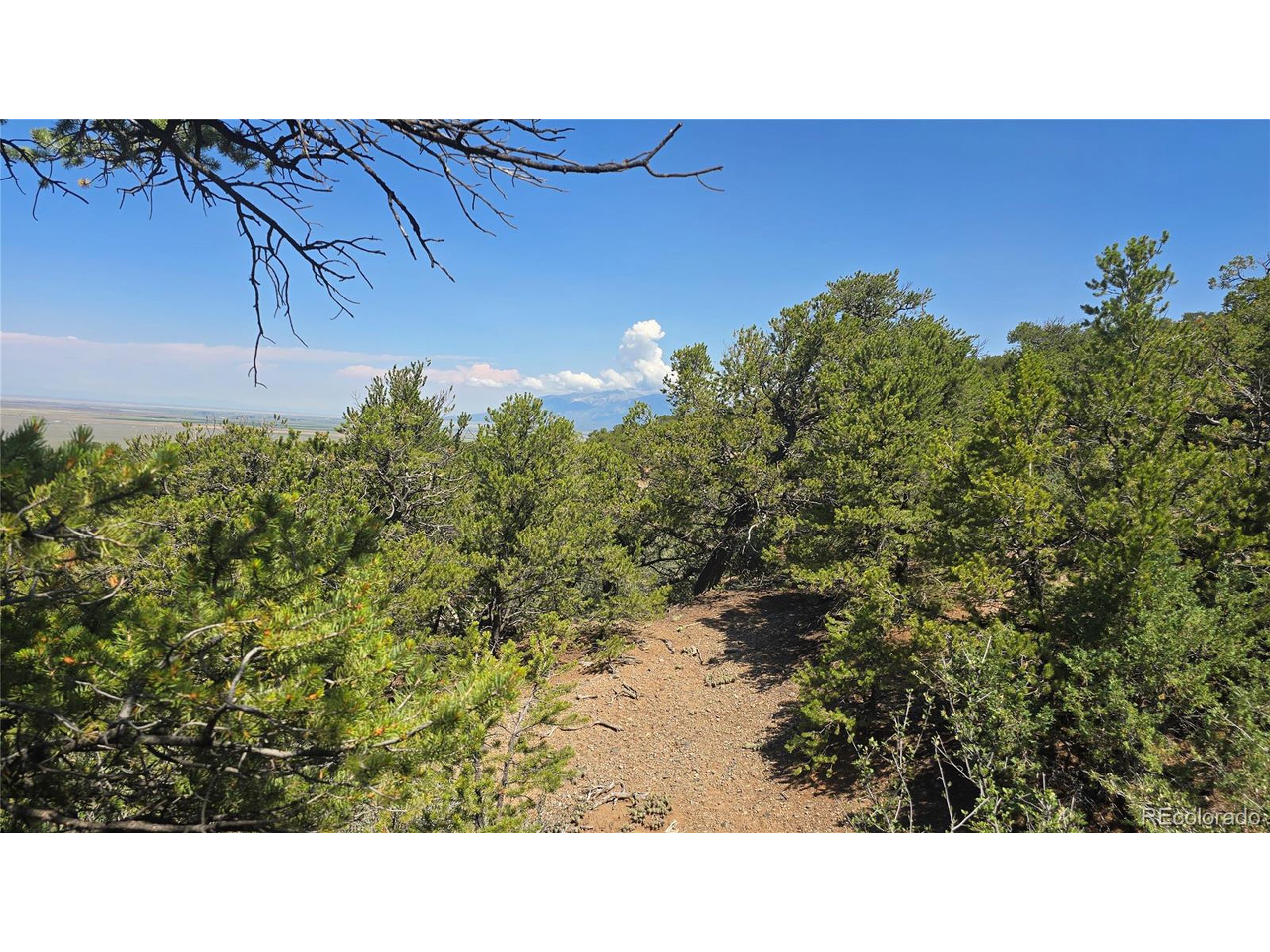 1416 Michaels Road Fort Garland, CO 81133 - Photo 12 of 18 Gallery Image 12