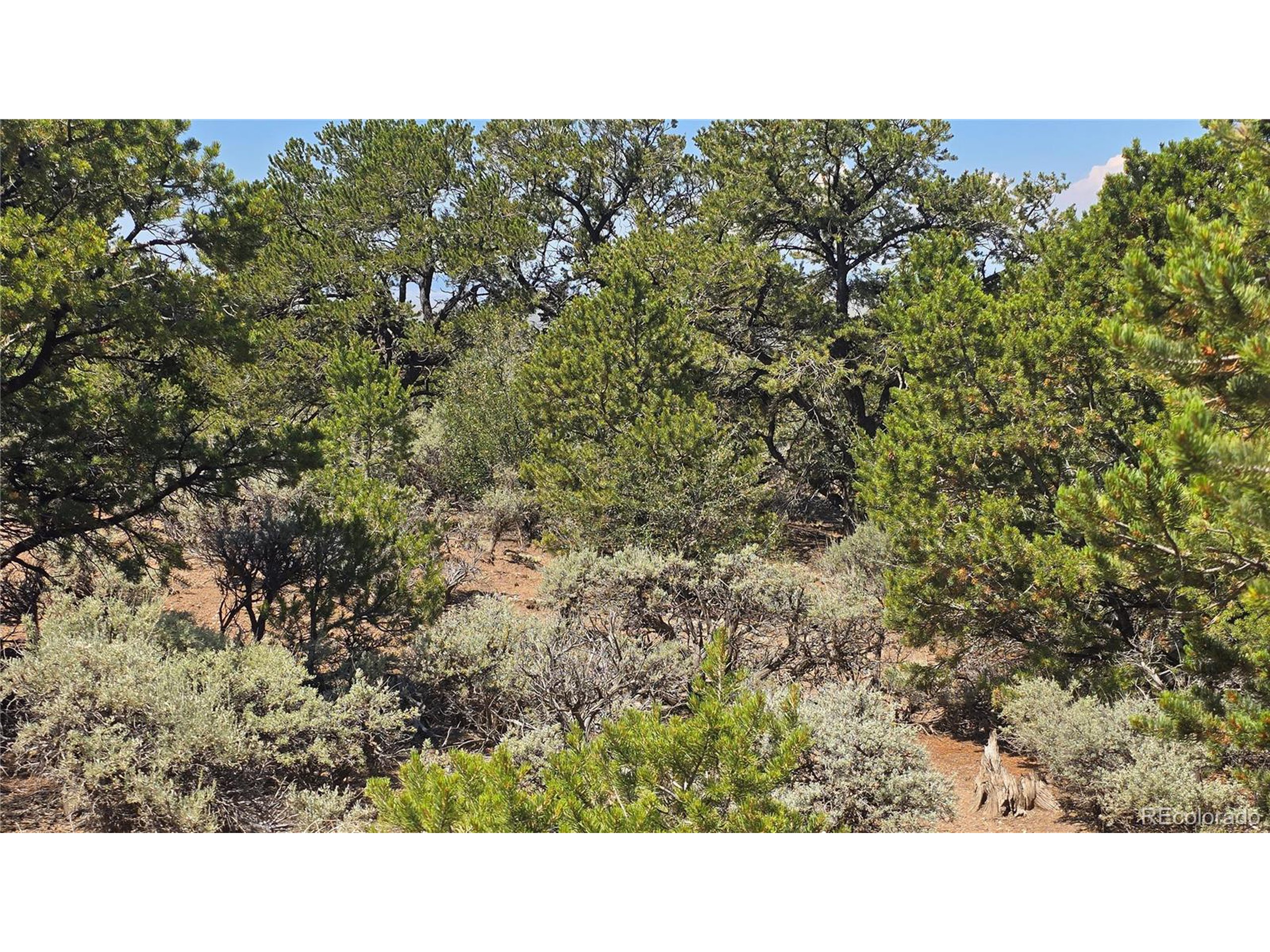 1416 Michaels Road Fort Garland, CO 81133 - Photo 15 of 18 Gallery Image 15