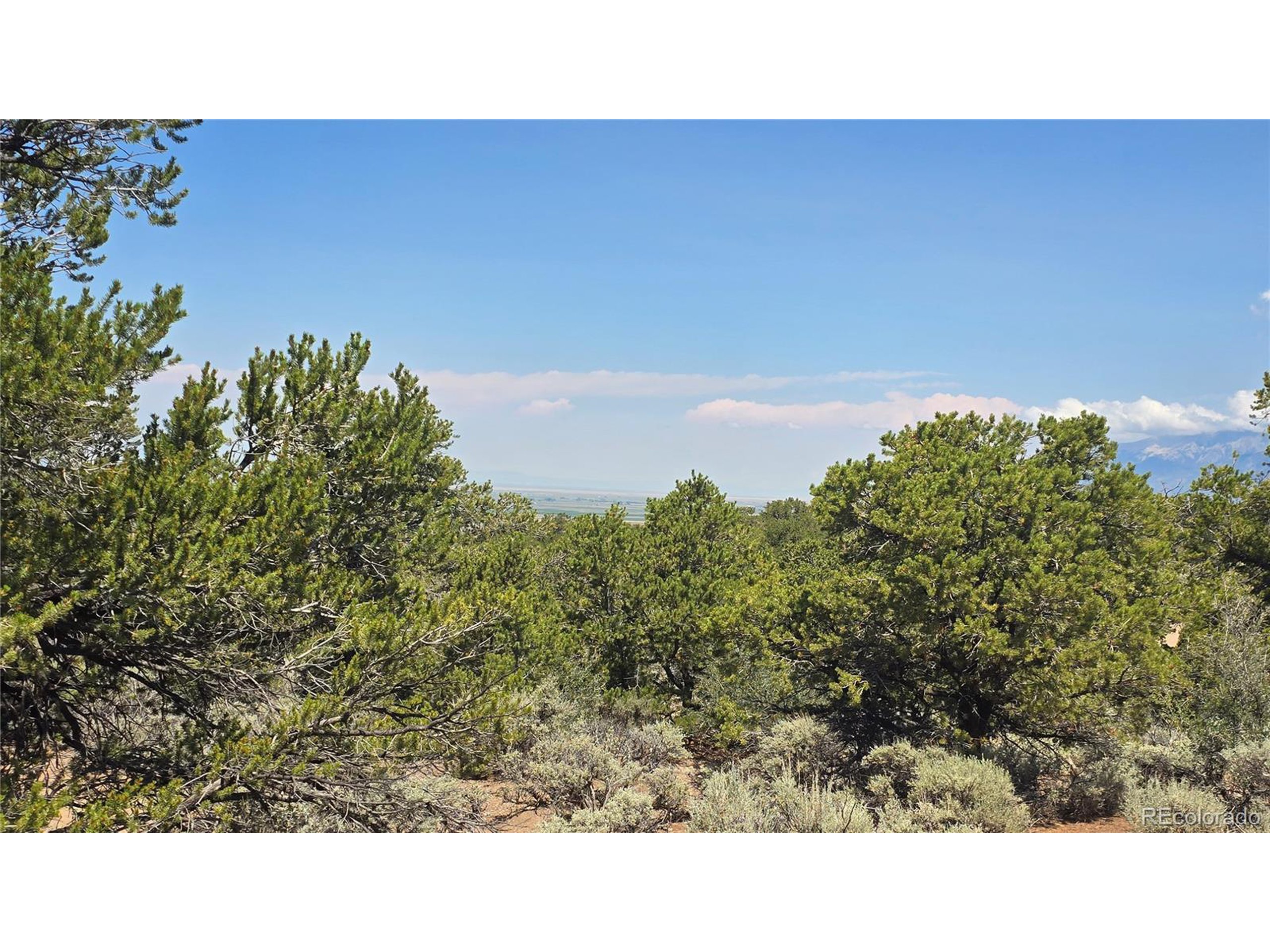 1416 Michaels Road Fort Garland, CO 81133 - Photo 4 of 18 Gallery Image 4