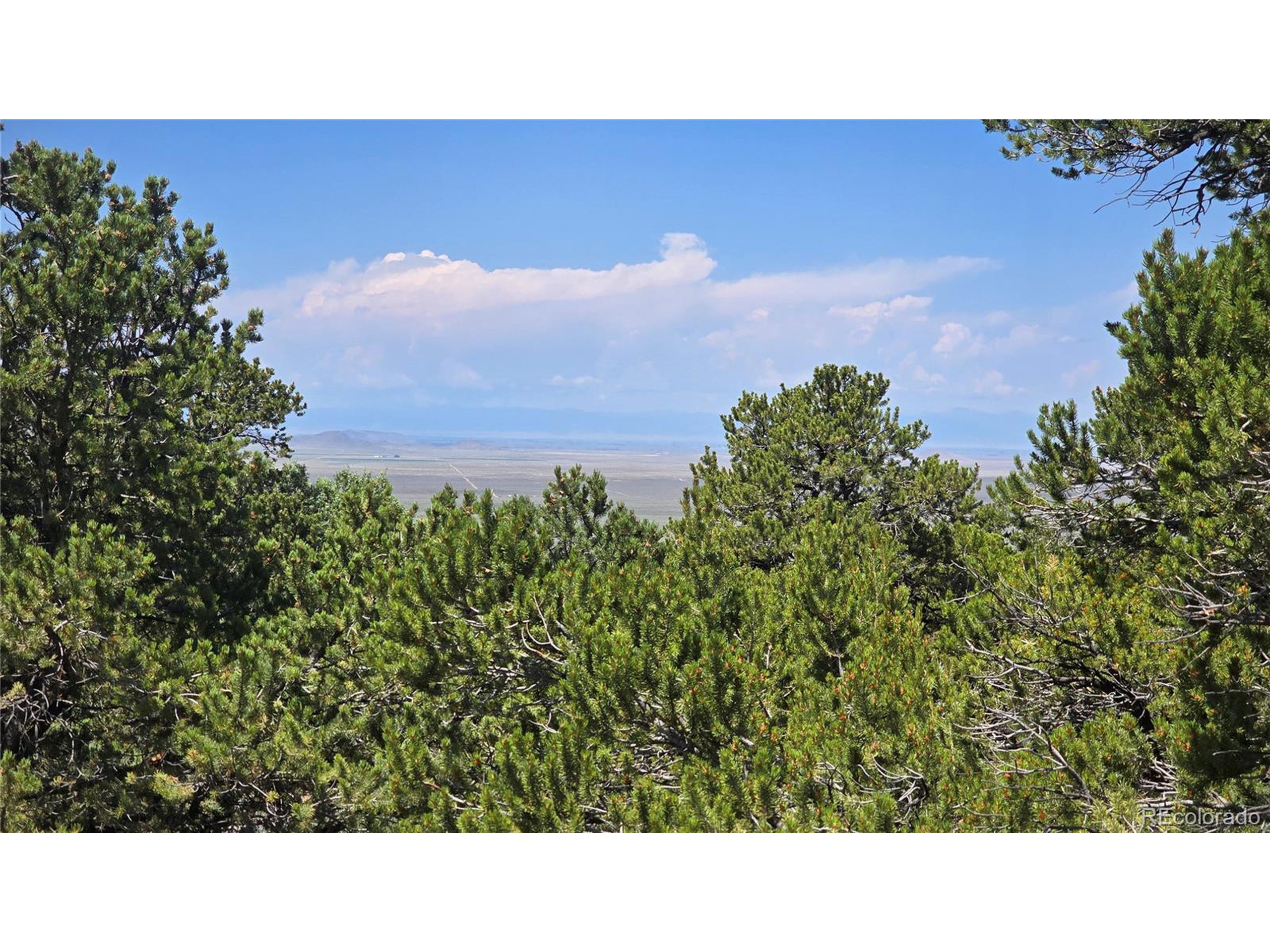 1416 Michaels Road Fort Garland, CO 81133 - Photo 6 of 18 Gallery Image 6