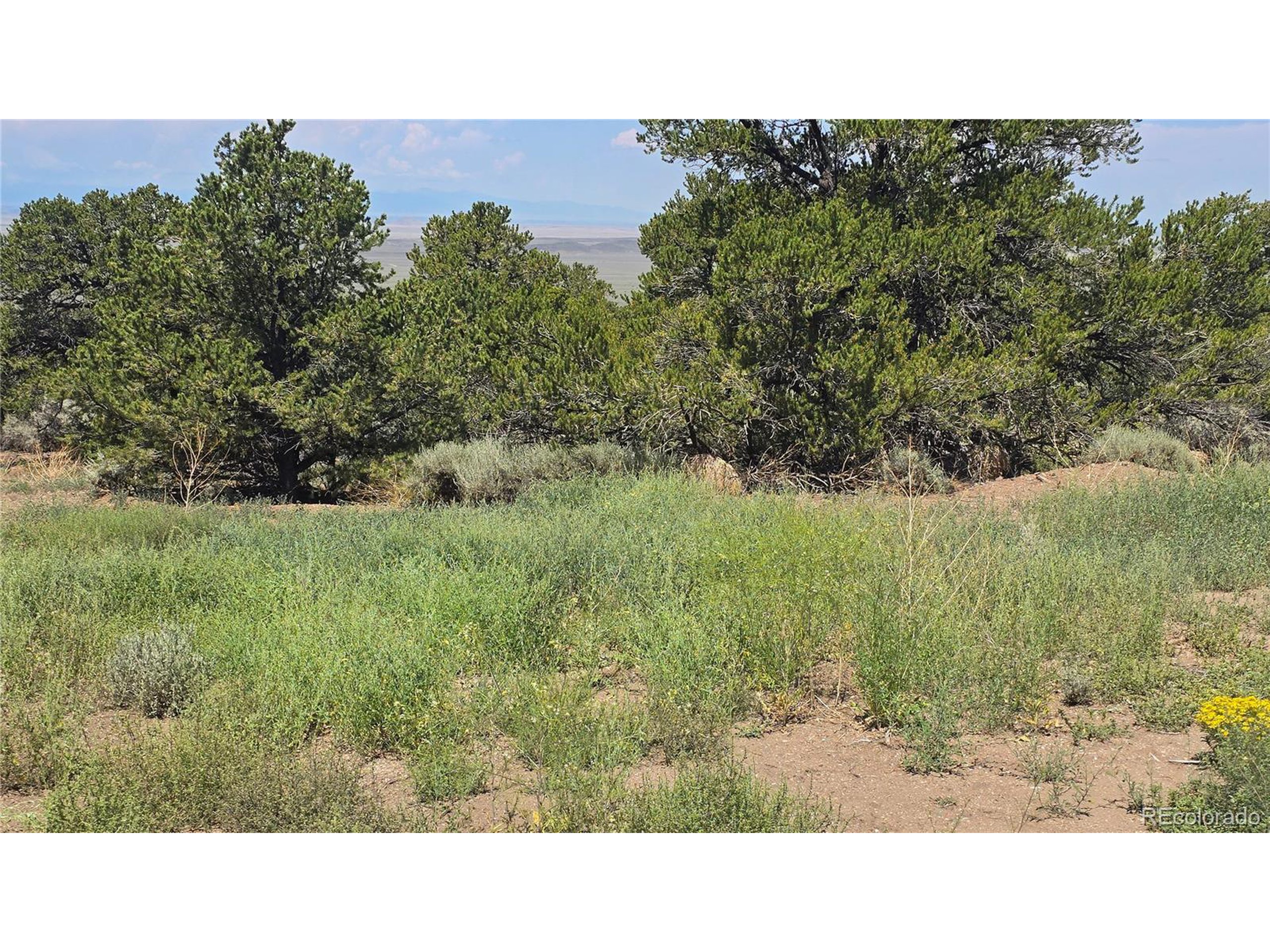 1416 Michaels Road Fort Garland, CO 81133 - Photo 10 of 18 Gallery Image 10