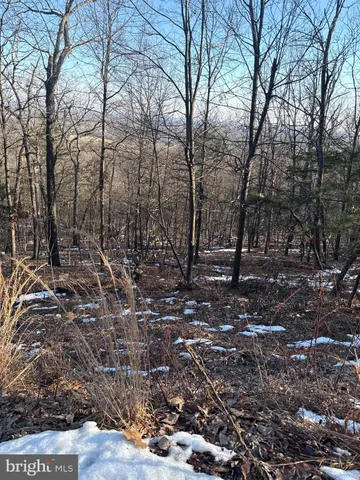 a view of outdoor space