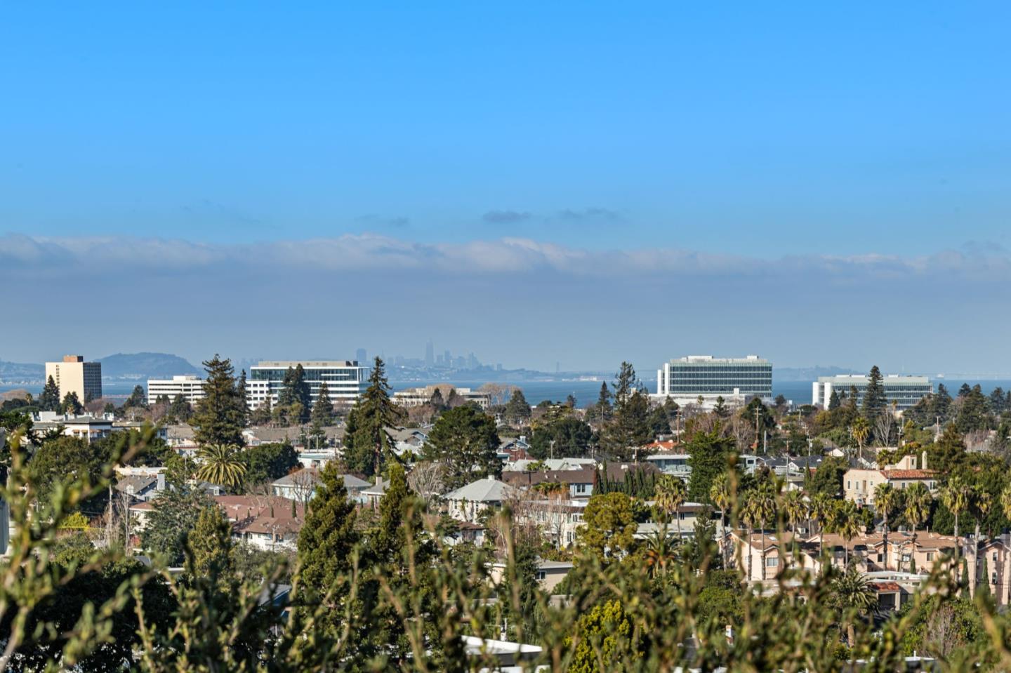 24 Mounds Road, Unit E San Mateo, CA 94402 - Photo 8 of 8 a view of a city with tall buildings