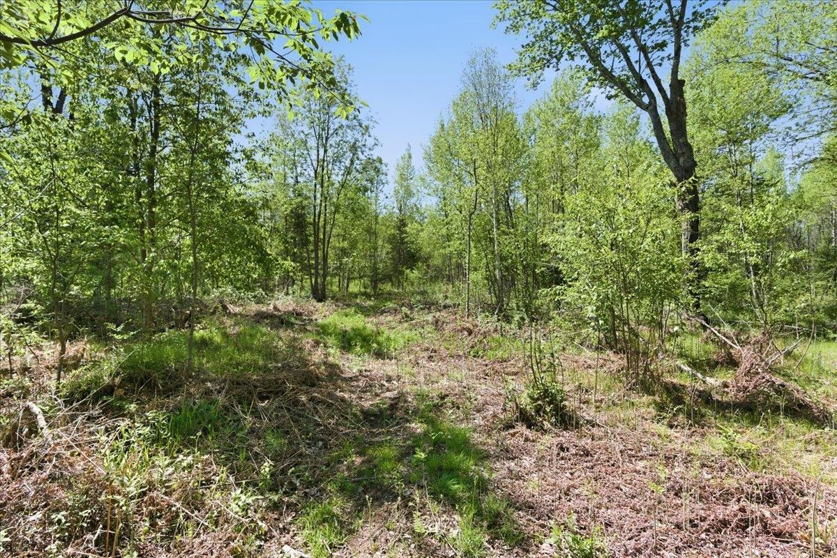 0 County Highway J Deerbrook, WI 54424 - Photo 24 of 78