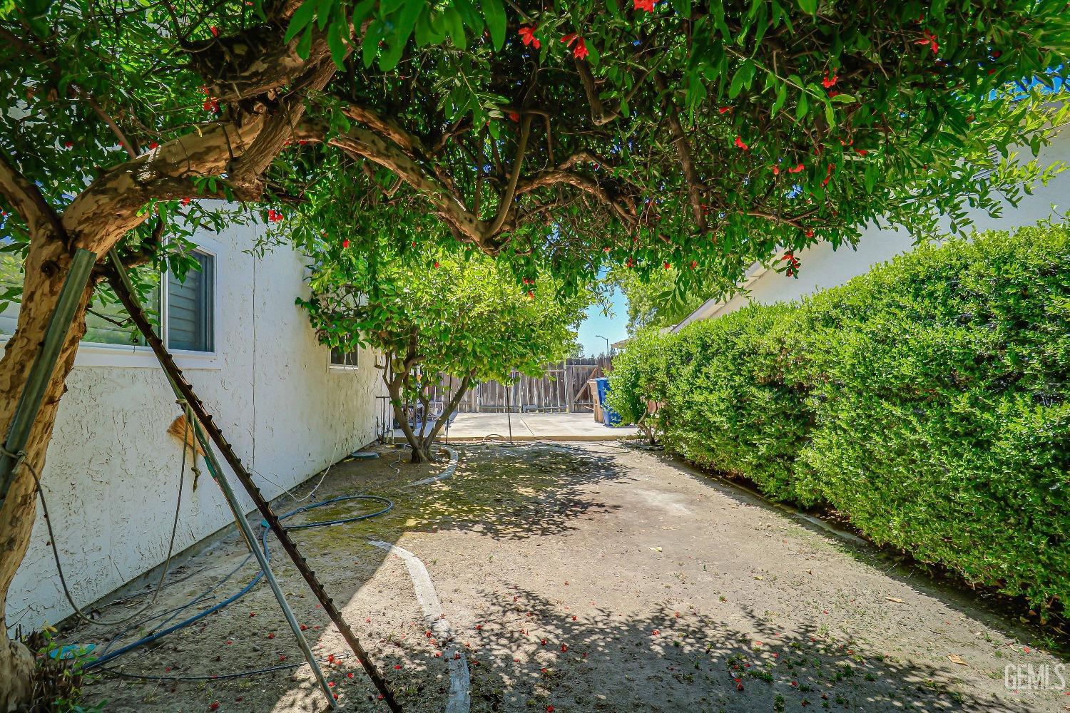 Undisclosed Address Bakersfield, CA 93309 - Photo 31 of 34 a view of a backyard with plants