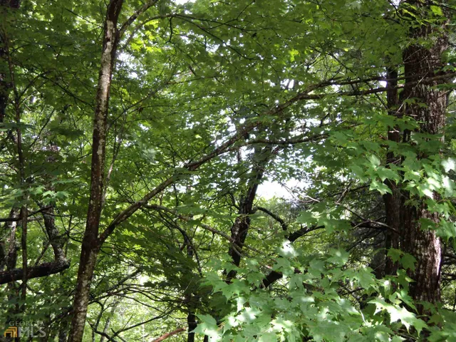 a view of a bench in front of house