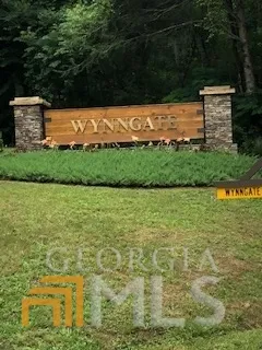 a view of a yard with plants and trees