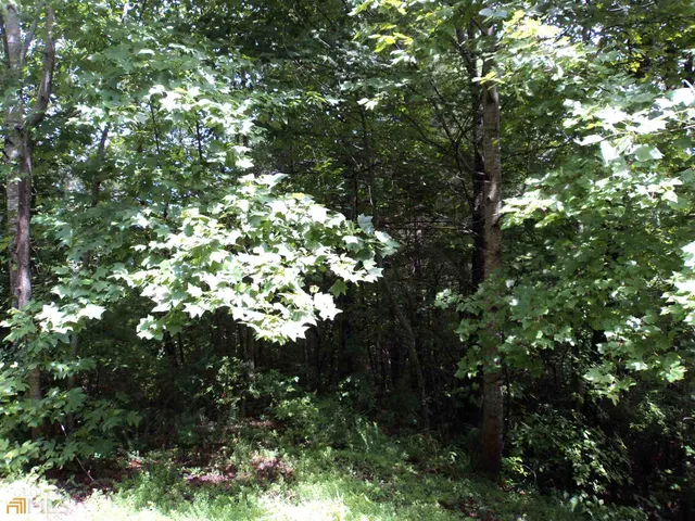 $99,000 | 0 Smokey Hollow Drive, Unit LOT 27, Dillard, GA 30537