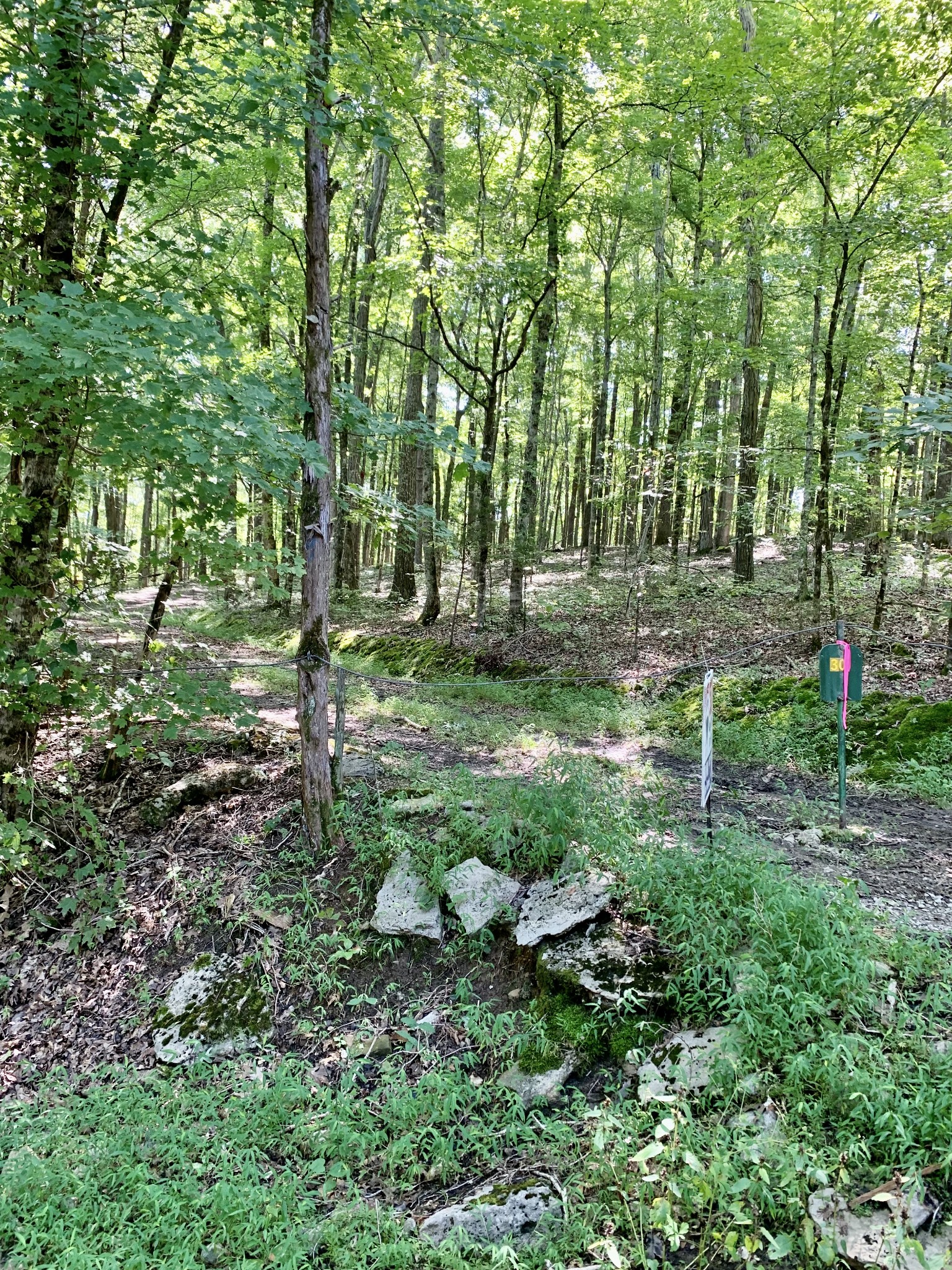 0 Sowell Ford Road Columbia, TN 38401 - Photo 1 of 5 Gallery Image 1