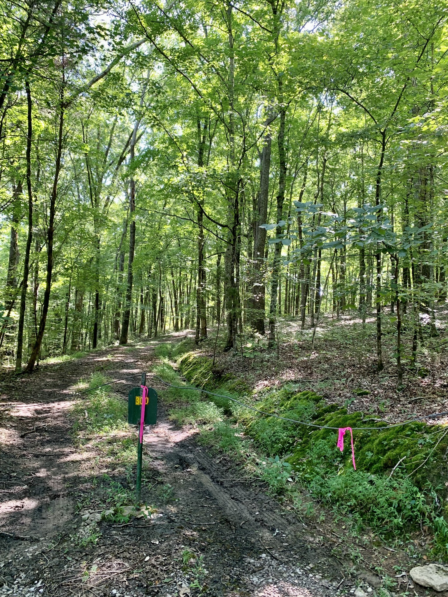 0 Sowell Ford Road Columbia, TN 38401 - Photo 3 of 5 Gallery Image 3