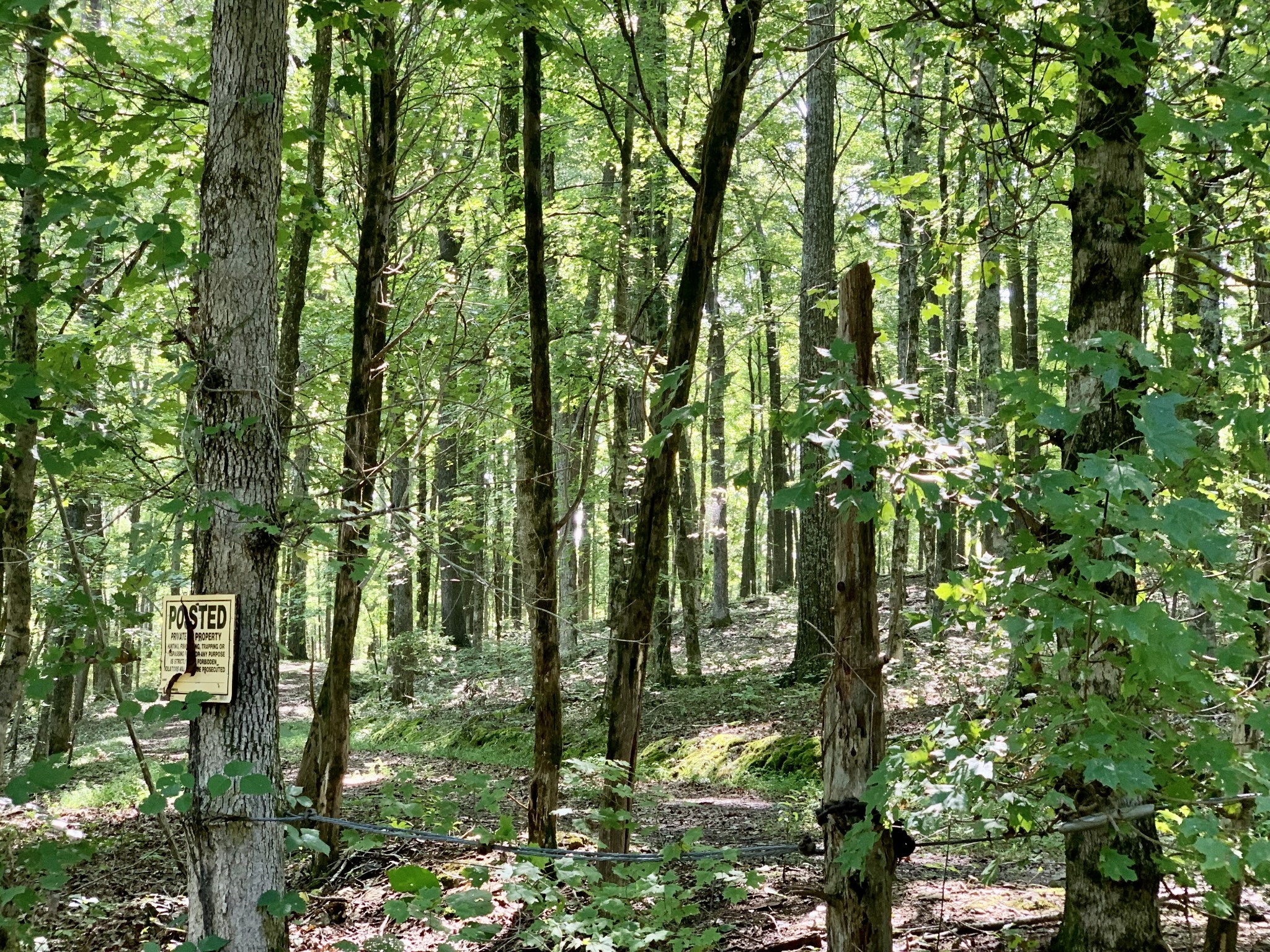 0 Sowell Ford Road Columbia, TN 38401 - Photo 4 of 5 Gallery Image 4