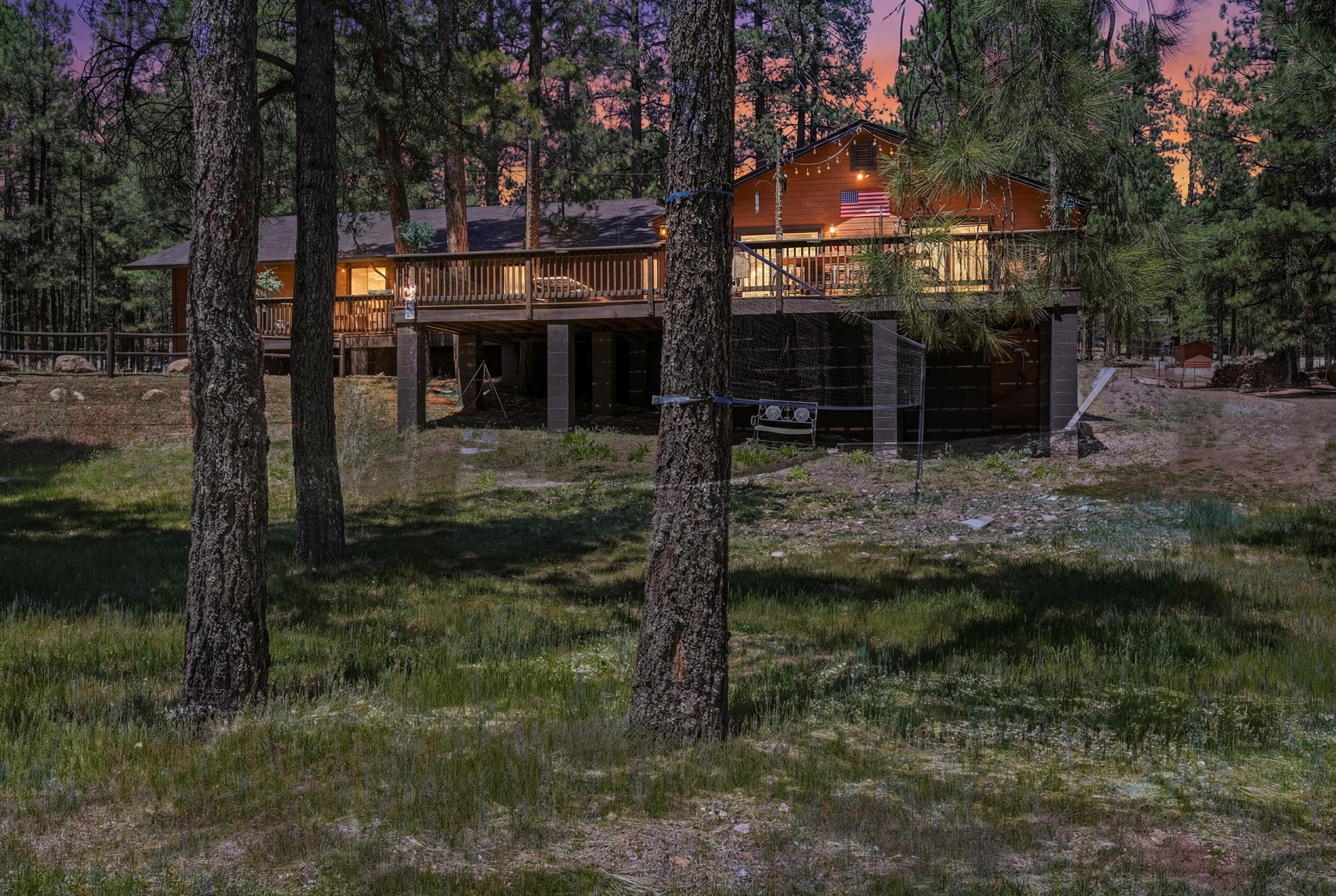 856 Coconino Loop Happy Jack, AZ 86024 - Photo 4 of 51
