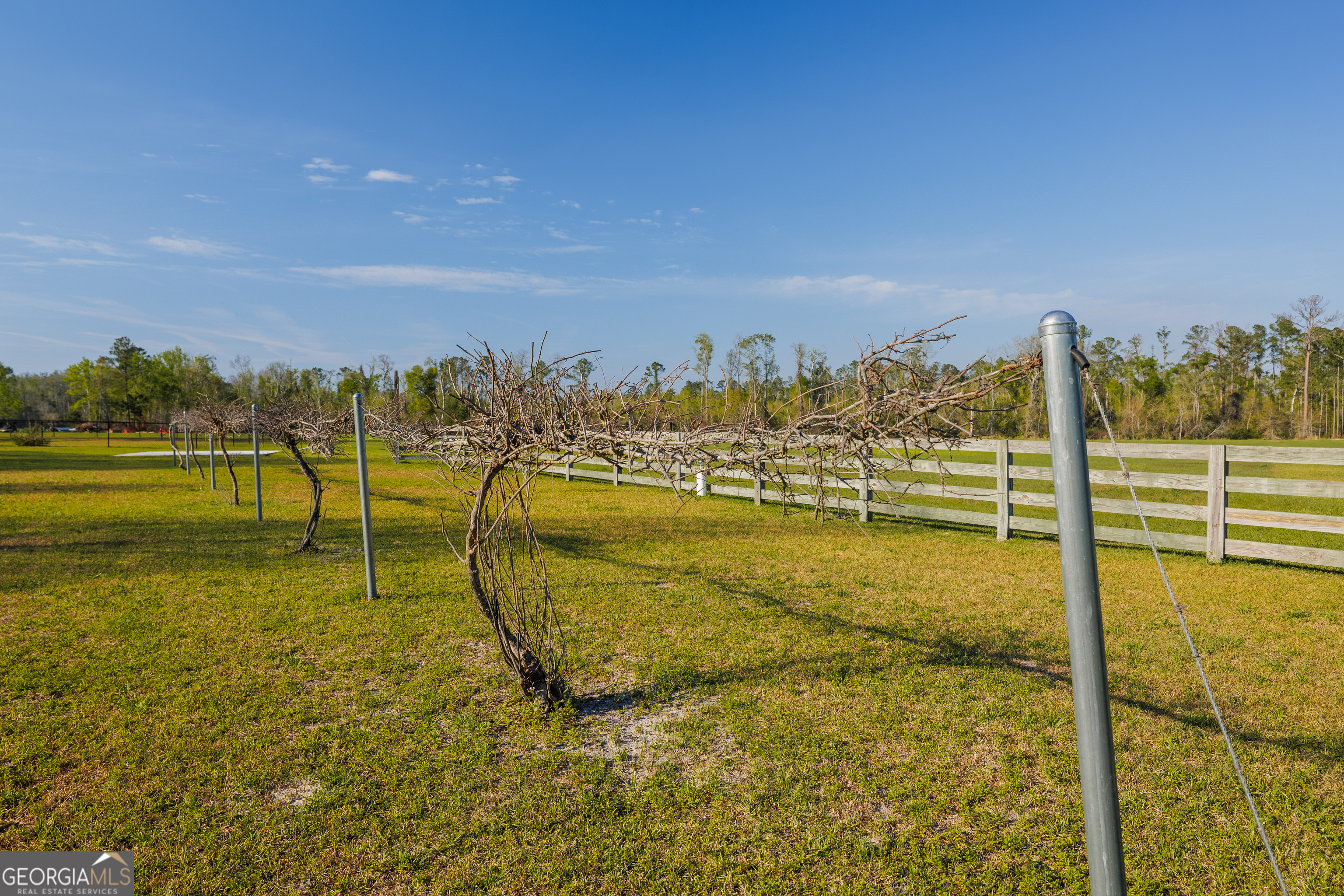 3497 Brown Road Valdosta, GA 31601 - Photo 49 of 67