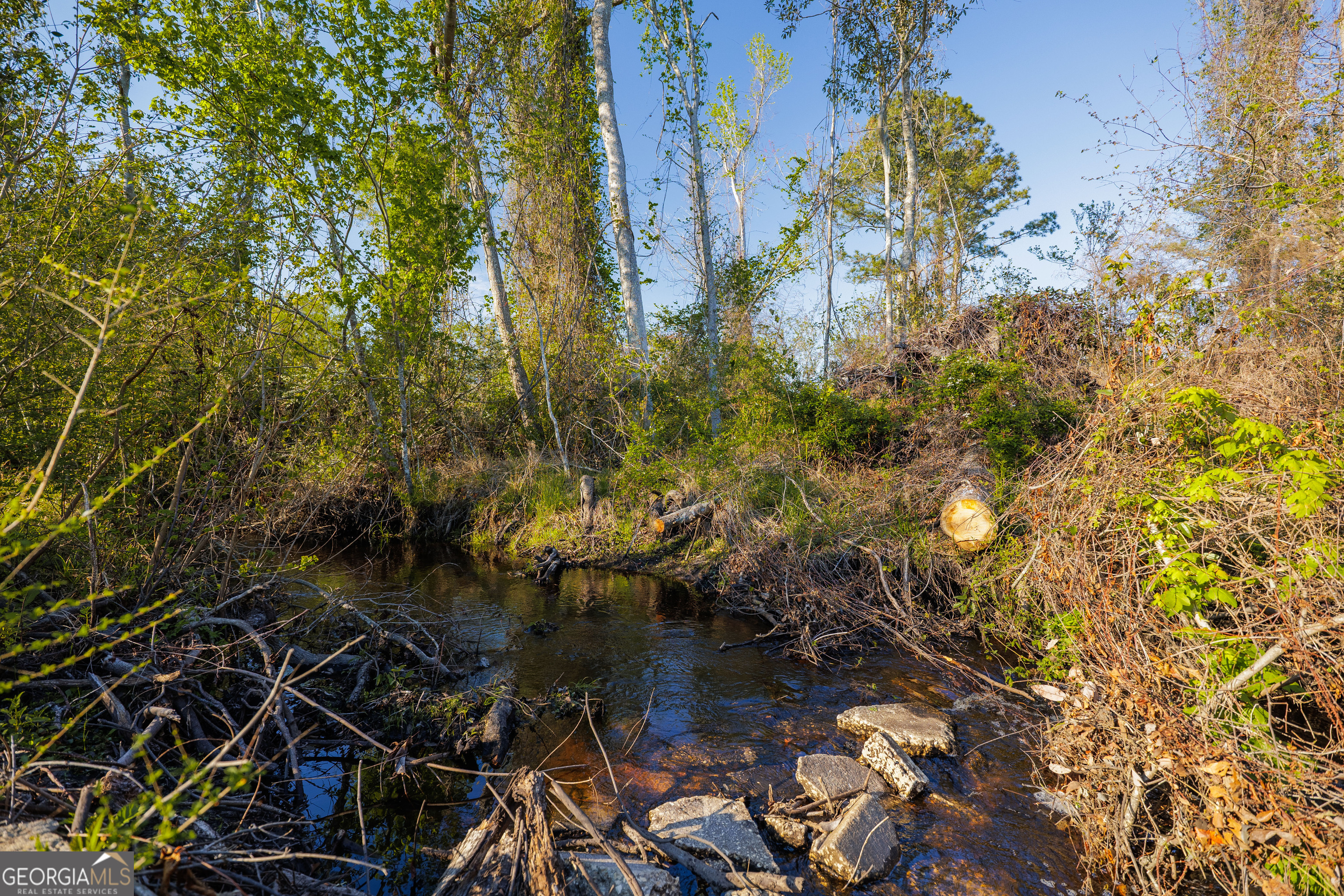 3497 Brown Road Valdosta, GA 31601 - Photo 64 of 67