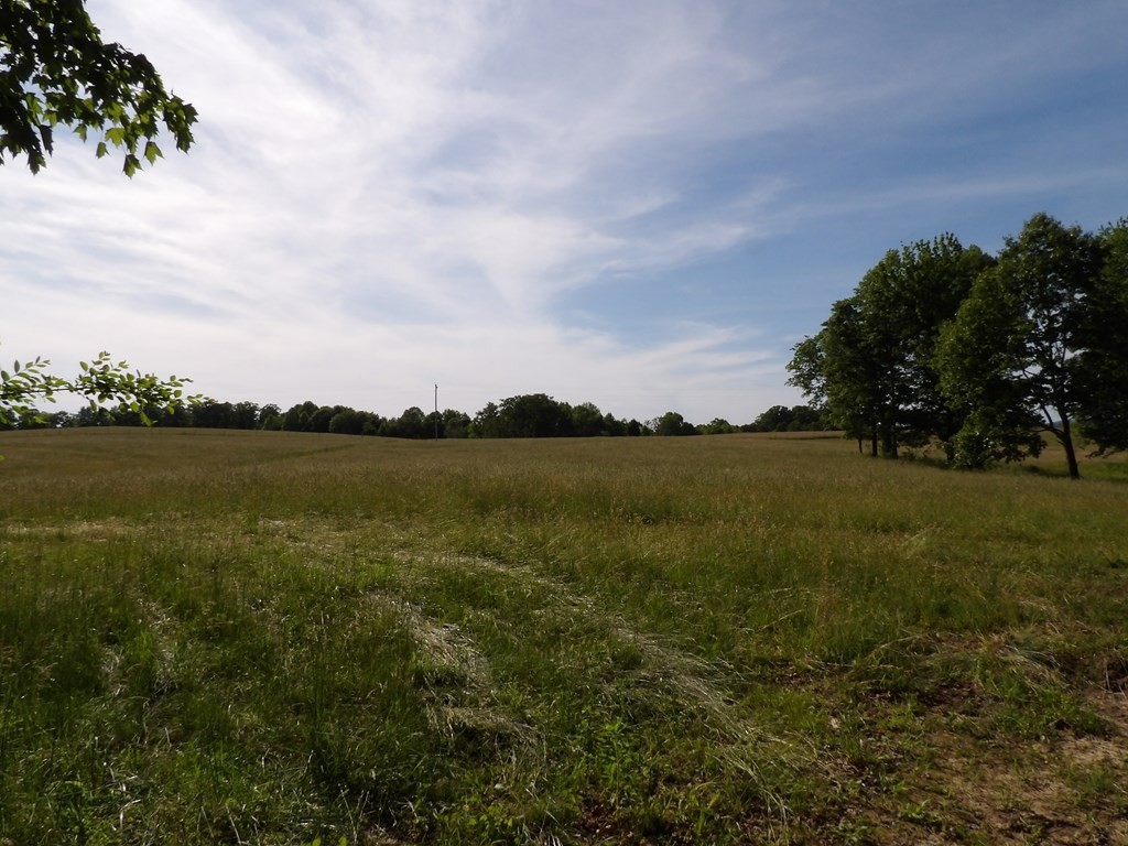 1030 Big Neck Road Grandview, TN 37337 - Photo 48 of 54 Gallery Image 48