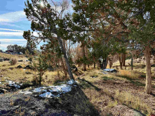 $445,000 | 18377 Highway 65, Cedaredge, CO 81413