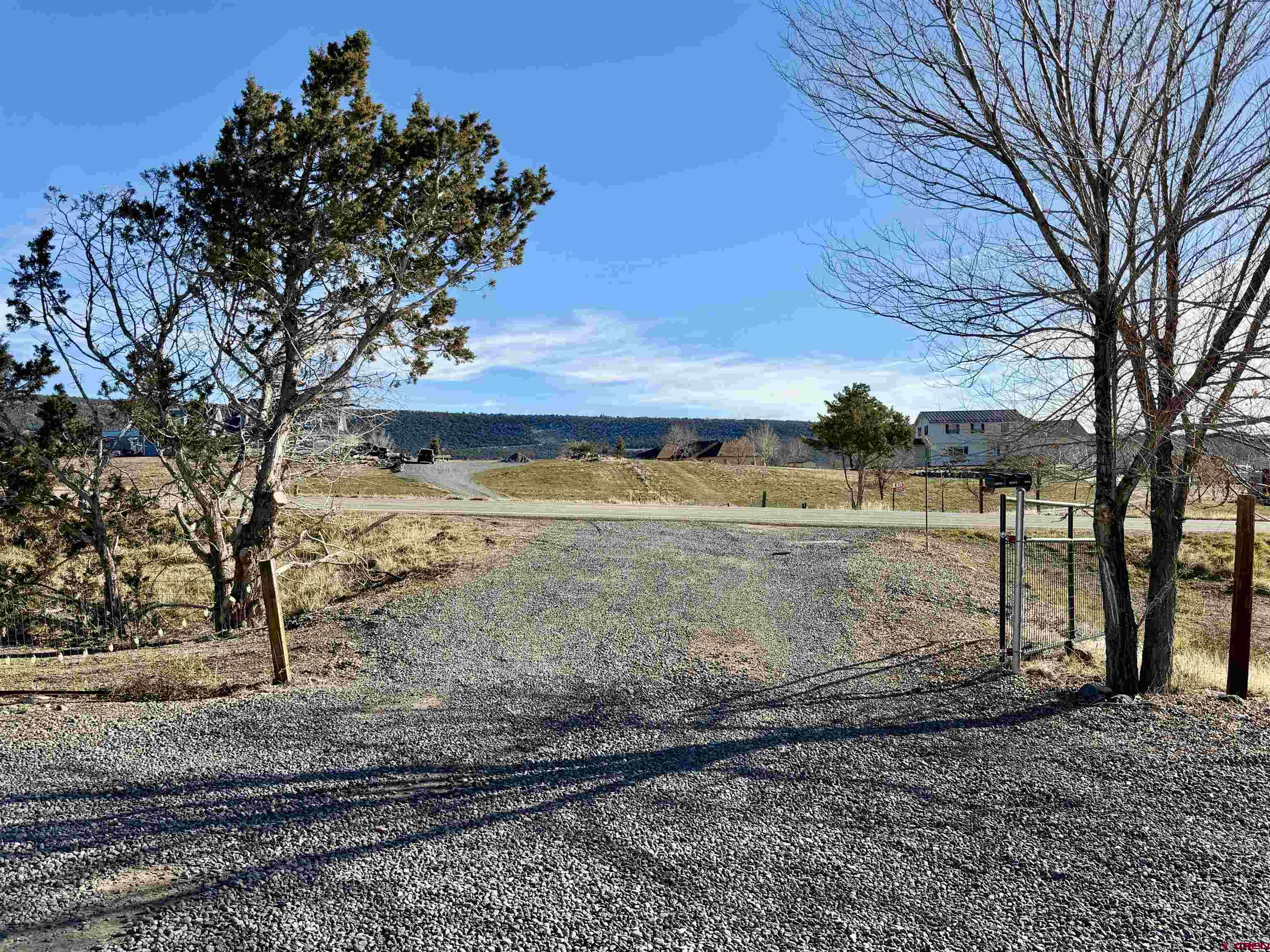 18377 Highway 65 Cedaredge, CO 81413 - Photo 32 of 45 a view of a yard with large trees