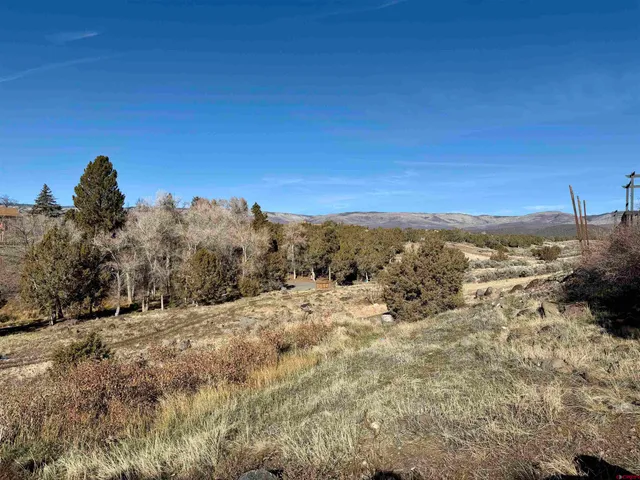 a view of a dry yard with mountains in the background