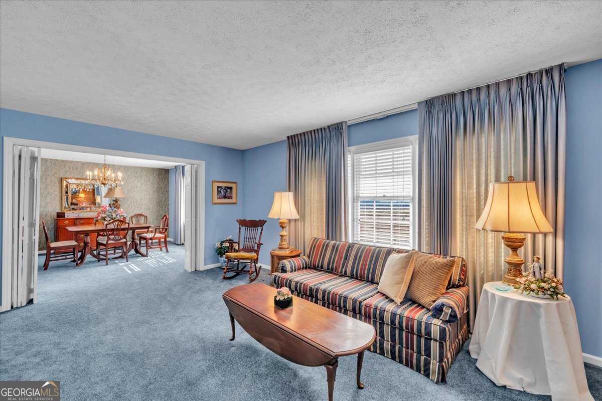 412 Red Dog Farm Road Cochran, GA 31014 - Photo 4 of 76