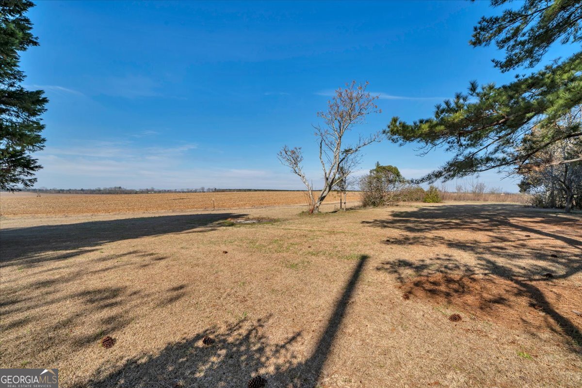 412 Red Dog Farm Road Cochran, GA 31014 - Photo 49 of 76