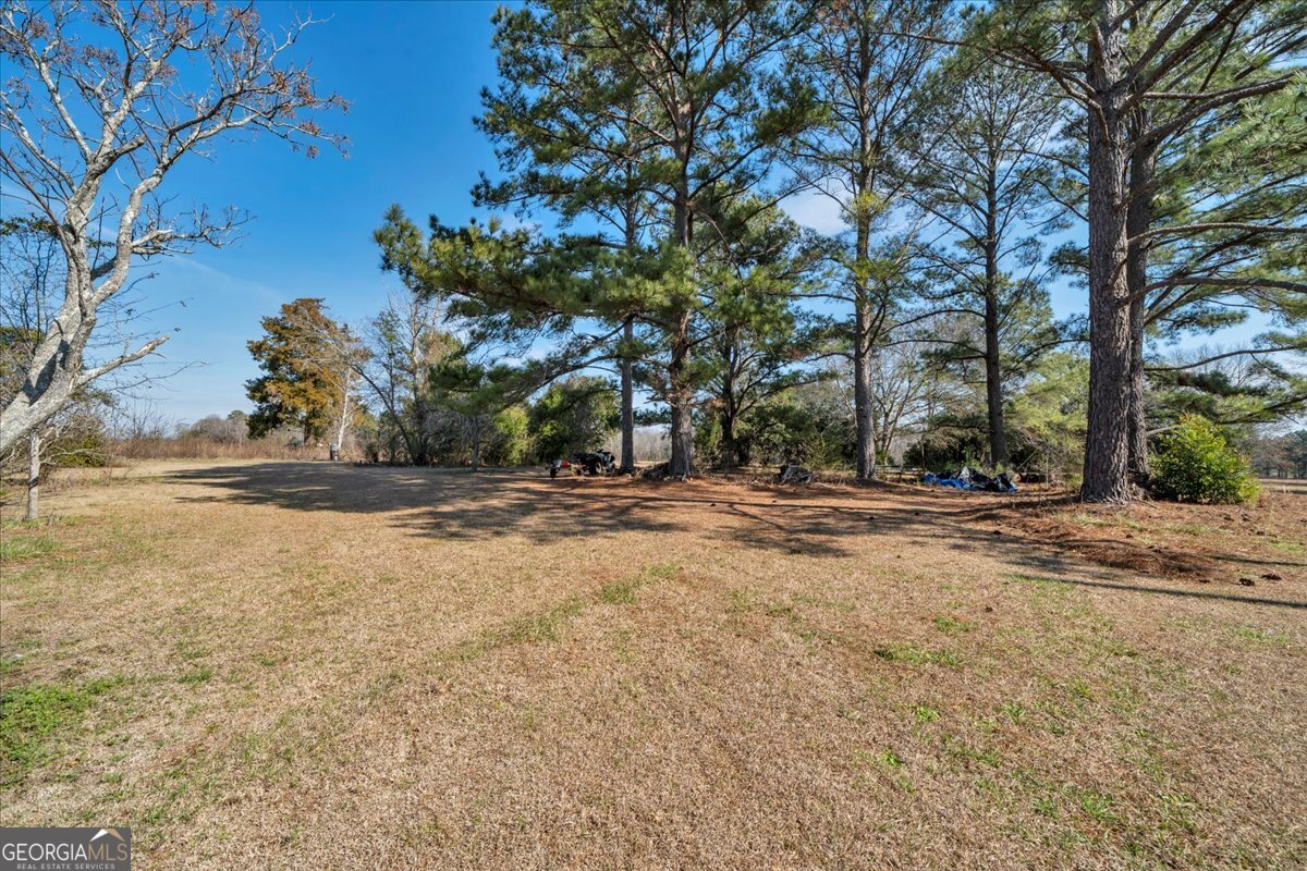 412 Red Dog Farm Road Cochran, GA 31014 - Photo 50 of 76