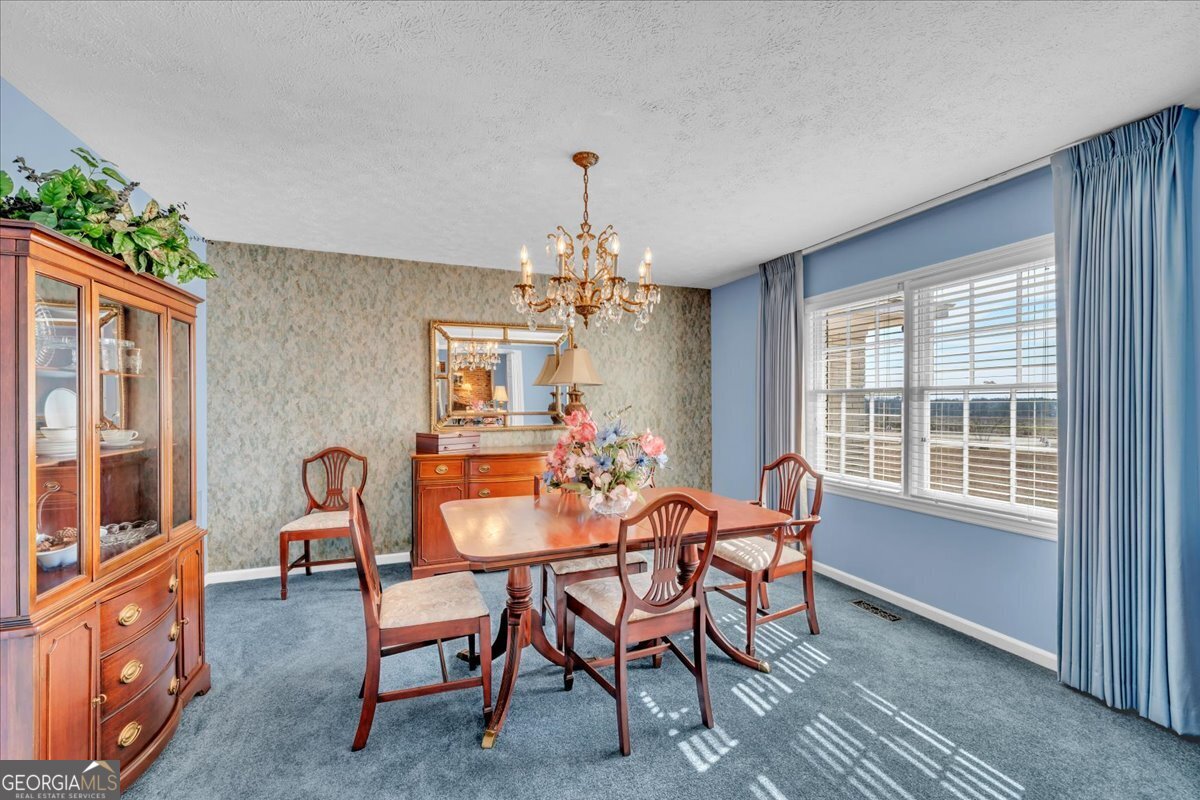 412 Red Dog Farm Road Cochran, GA 31014 - Photo 7 of 76