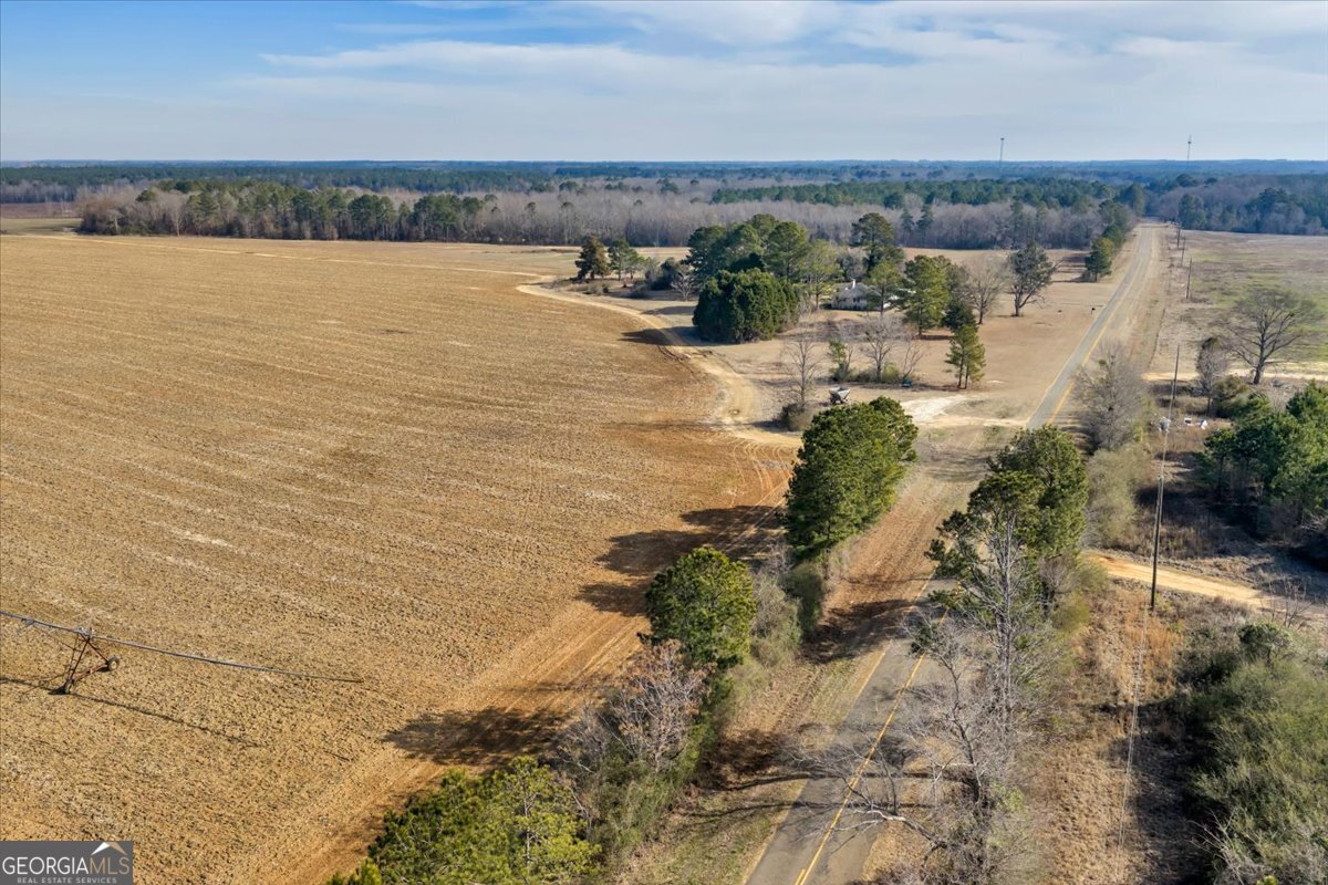 412 Red Dog Farm Road Cochran, GA 31014 - Photo 71 of 76 a view of a lake with mountain in the back
