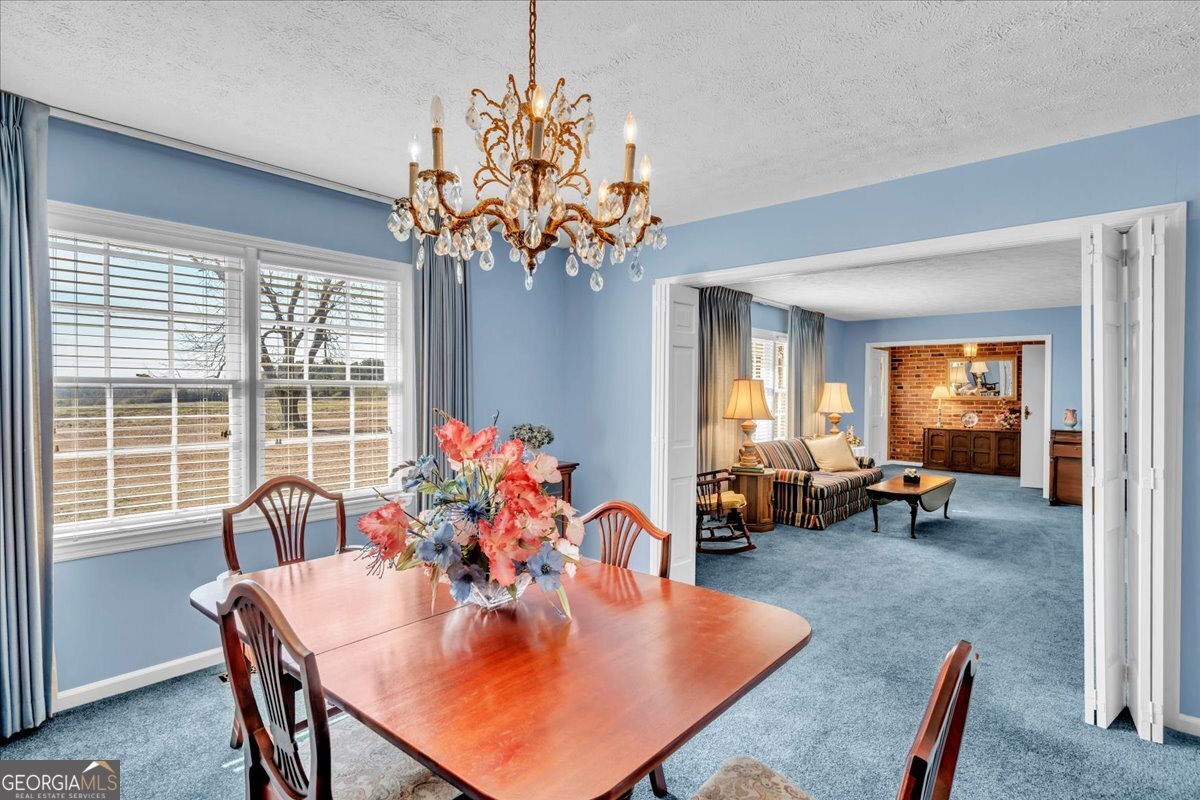 412 Red Dog Farm Road Cochran, GA 31014 - Photo 9 of 76