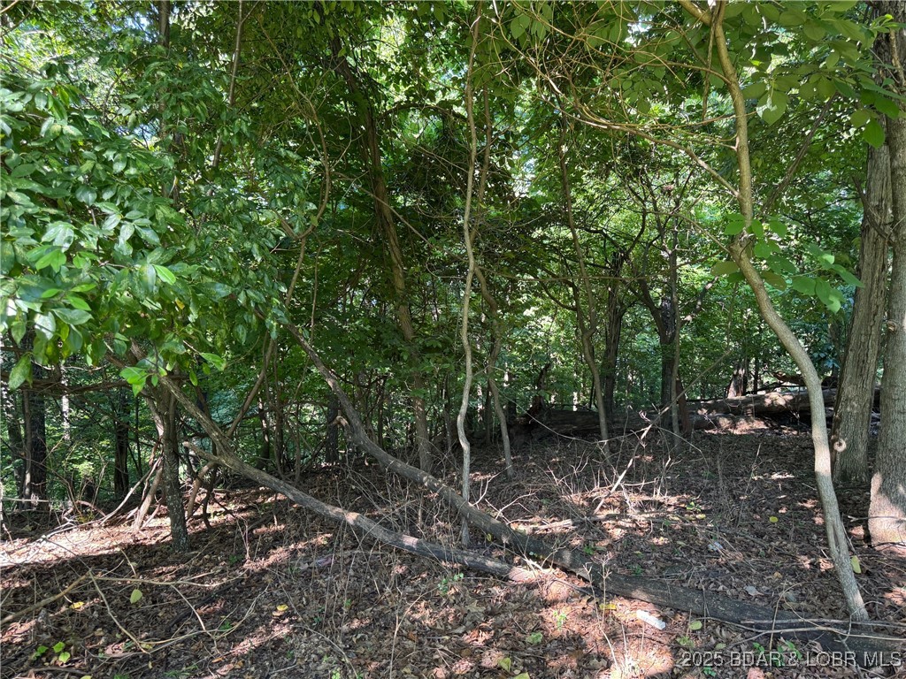 Tristar Road Sunrise Beach, MO 65079 - Photo 3 of 3