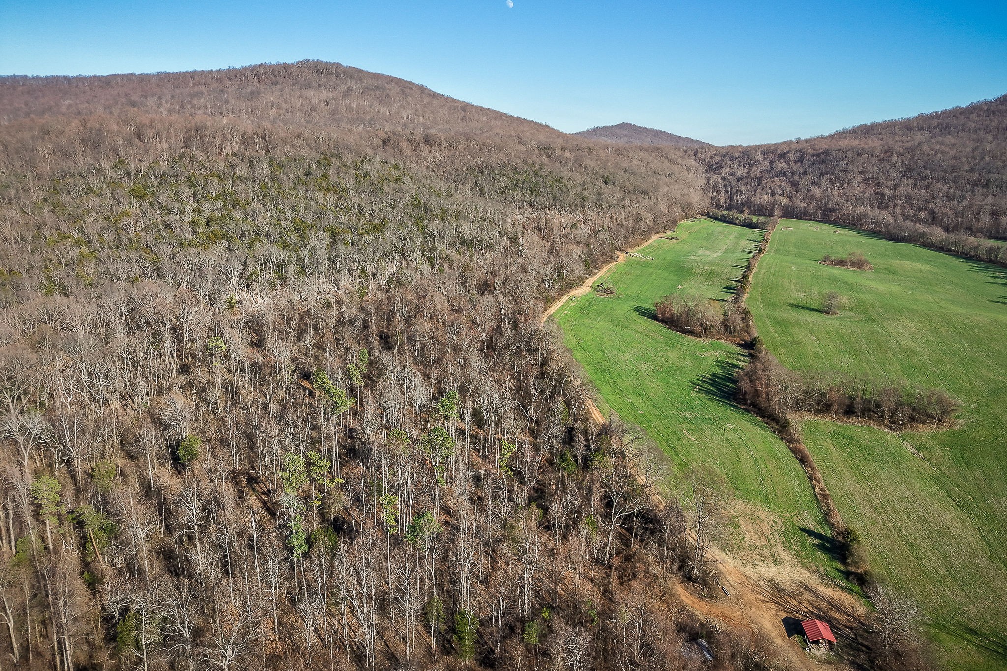 505 Thaxton Road McMinnville, TN 37110 - Photo 3 of 31 a view of a mountain in the distance