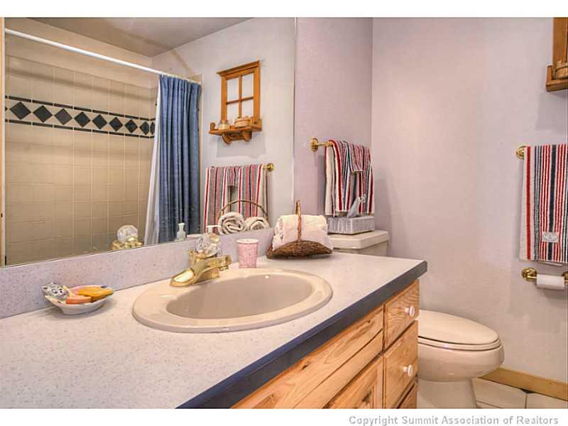 82 Saw Mill Run Road Breckenridge, CO 80424 - Photo 19 of 24 Gallery Image 19