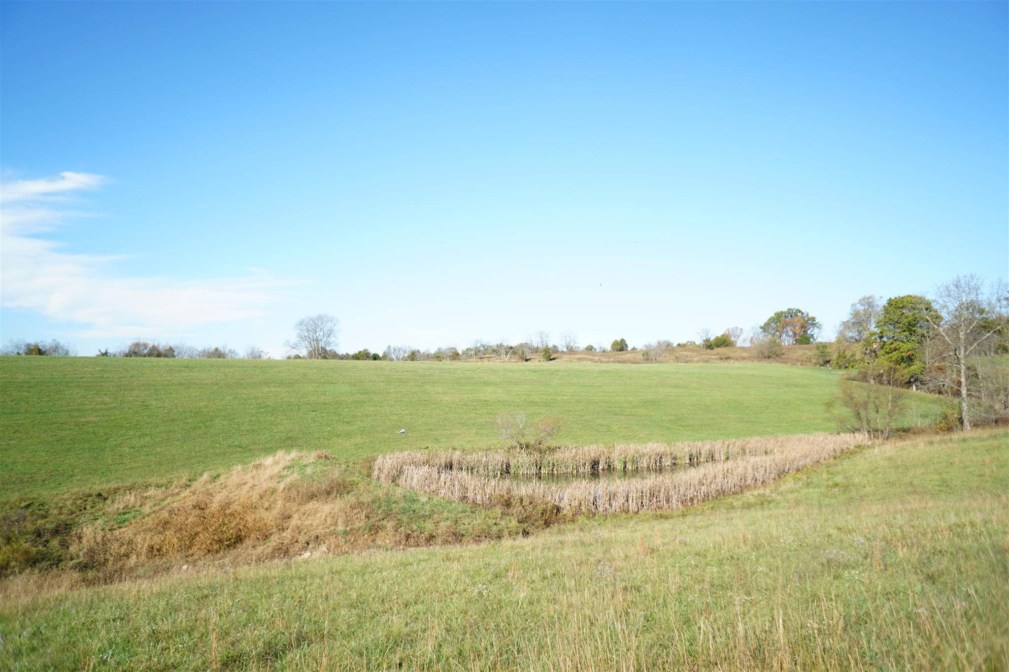 2292 Hinton-Webber Road Corinth, KY 41010 - Photo 35 of 40 Gallery Image 35