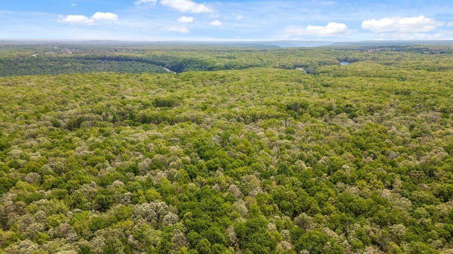 0 Deepwoods Road, Unit 5 Sewanee, TN 37375 - Photo 4 of 57 05-property-aerial-canopy