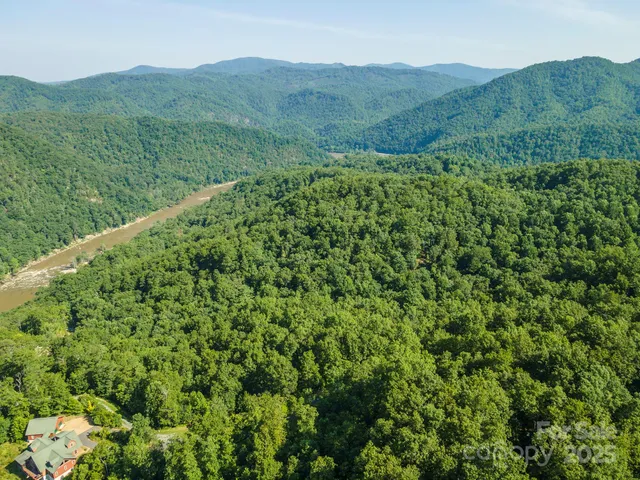 a view of a lush green hillside and a houses
