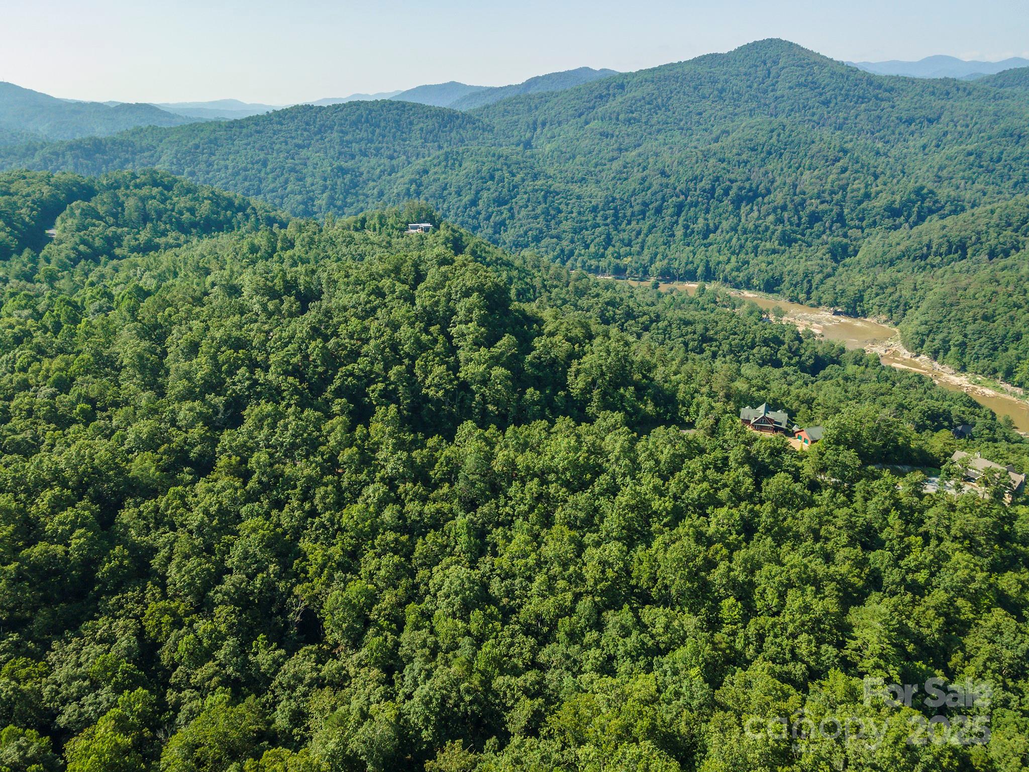 230 White Rapid Road Marshall, NC 28753 - Photo 12 of 29 a view of a lush green forest with a house